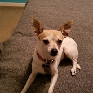 Meet your Posher, Steph